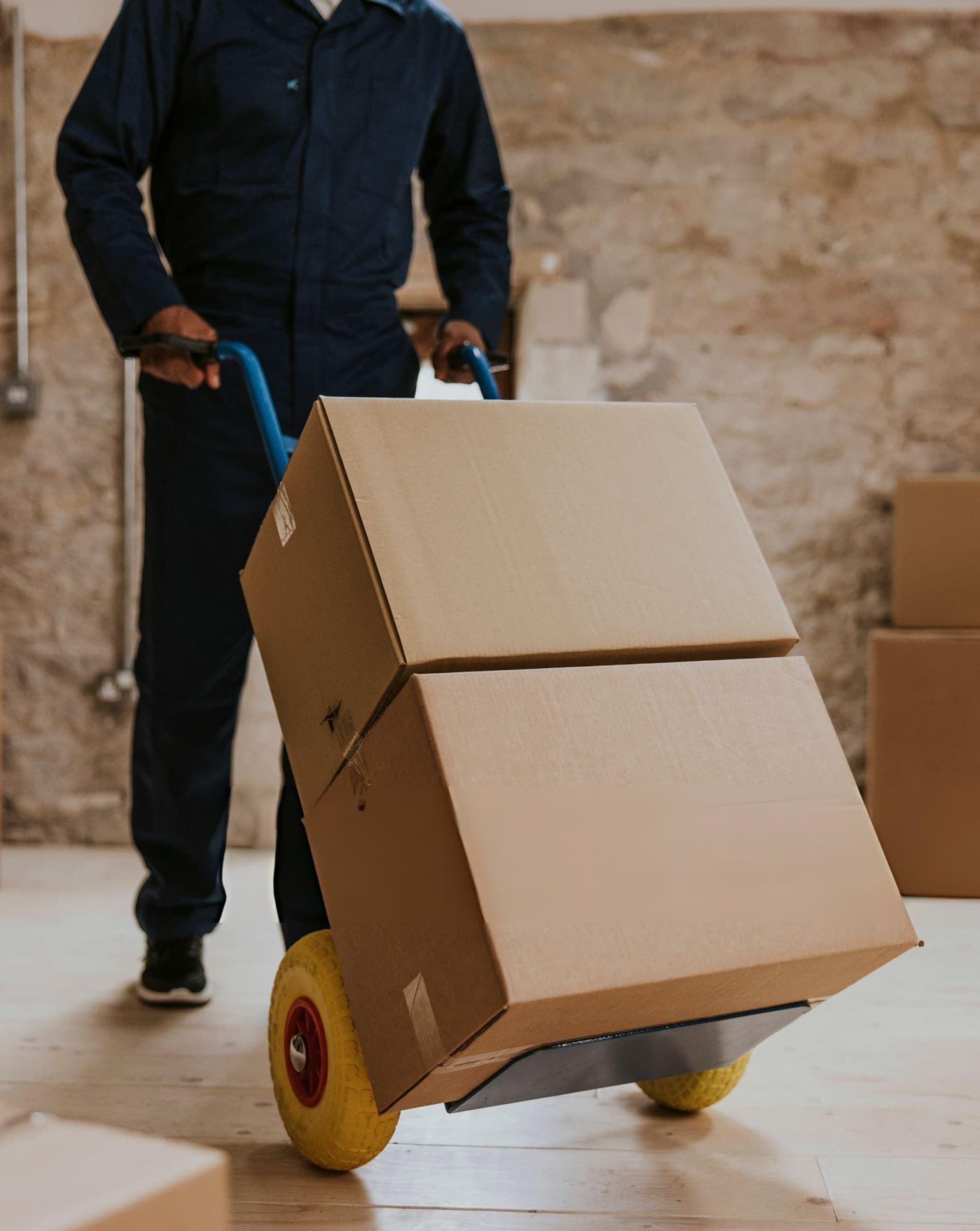 SEO analytics dashboard showing keyword rankings and organic growth